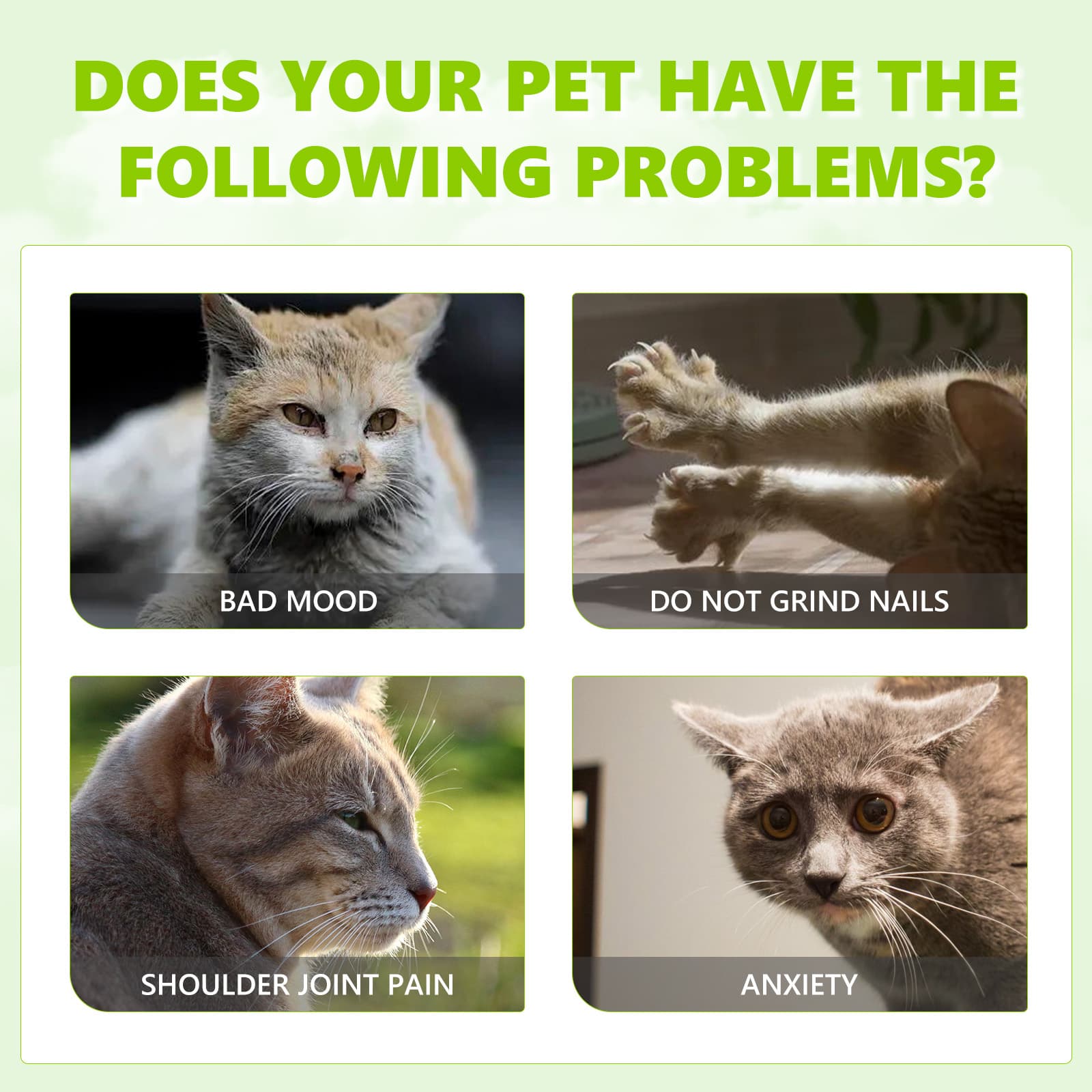Catnip Anxiety Relief Spray thumbnail 4